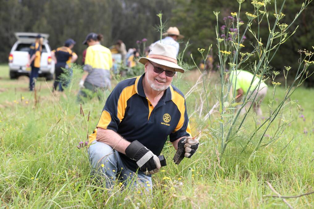 Birthday celebration: Dapto Rotarians marked the club's birthday by helping the environment: Pictured is Barry Hemley planting trees near the skate park near Bong Bong Road at Dapto on Friday. Picture: Robert Peet.