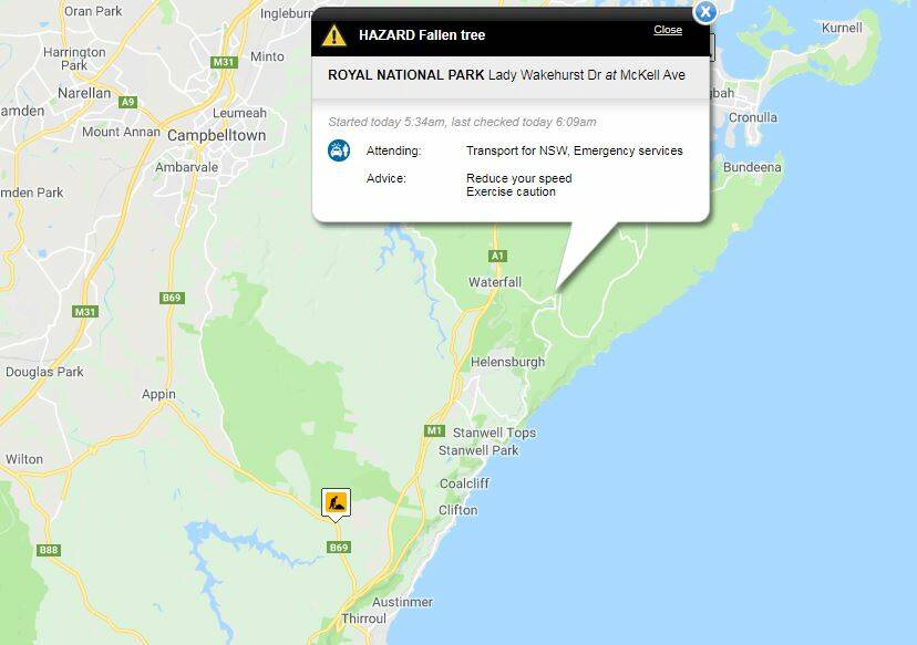 Fallen tree delays early traffic in Royal National Park
