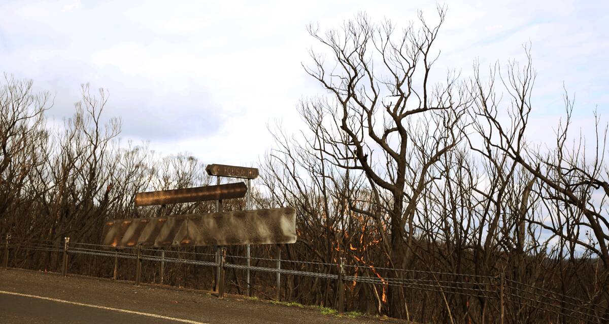Bushfire support: Skeletal remains of trees after a devastating summer of fire in the Shoalhaven. Picture: Greg Ellis
