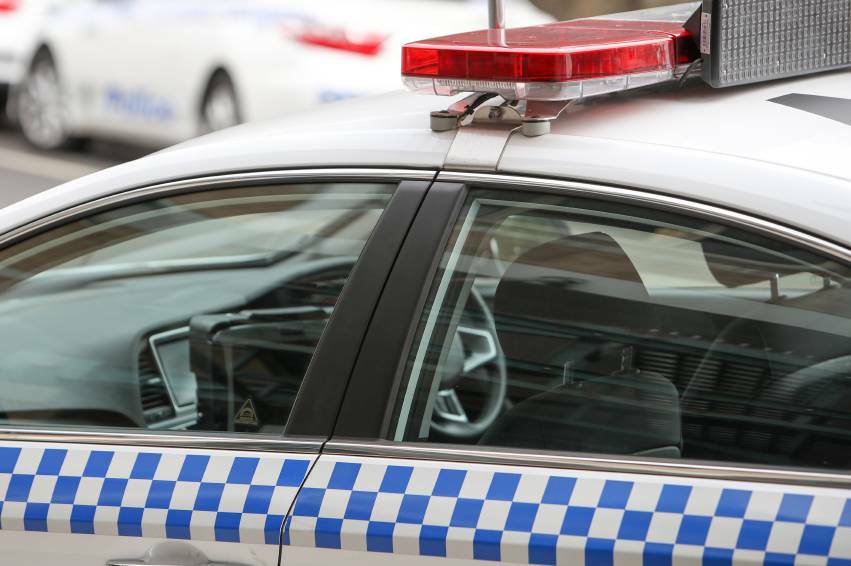 Police appeal after 14 kangaroos found dead in Batemans Bay