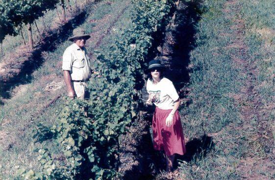 Eileen Bishop in the vineyard during one of the early harvests.
