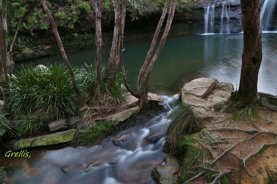 UNSPOILT MARKETING WIN: Nellies Glen near Robertson in the Kiama local government area is one of the many unspoilt attractions visitors can enjoy in the region. Picture: Greg Ellis.