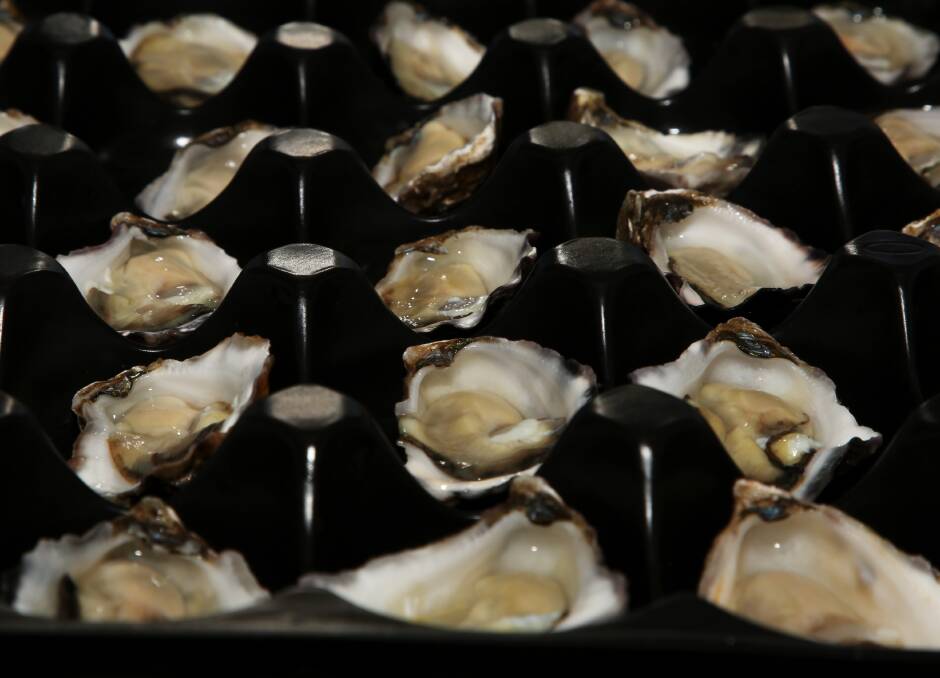 Retail display: Some of the Australia's Oyster Coast oysters at Harley and John's Seafood in Fairy Meadow.
