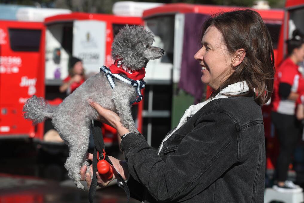 Pooch perfect: Letitia Webb with a clean and happy Bella who enjoyed being pampered on Saturday at The Groundz "Dapto Showground". Picture: Robert Peet
