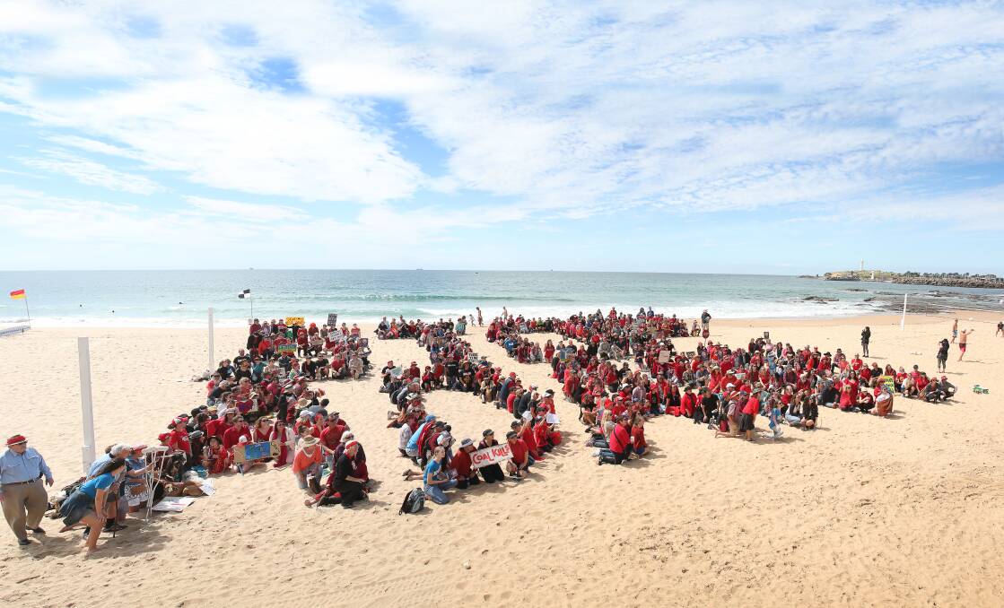 Human sign: Hundreds of people in red and blue gathered on North Beach on Saturday morning to create a Stop Adani sign. Picture: Sylvia Liber.

