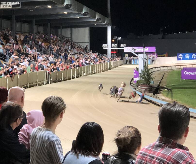 Racing markets: There were more people than usual at last Thursday's Dapto Dogs with night markets a part of the fixture until May 17.
