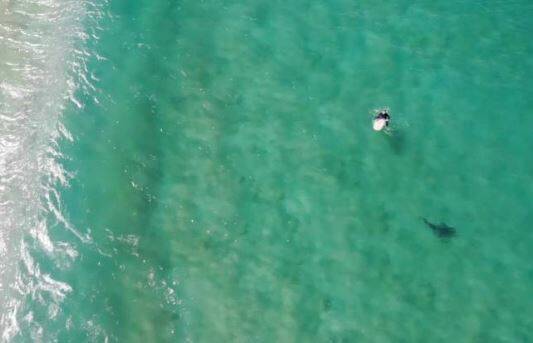  A still from drone footage at Werri Beach by Christopher Joye
