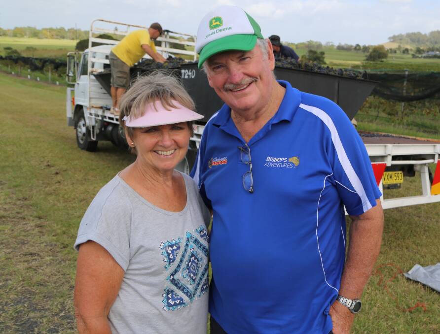 Team work: Shirley and Ian Salway worked as a team book ending each day. Shirley helped pick the grapes and Ian trucked them to Tyrrell's. Pictures: Greg Ellis.


