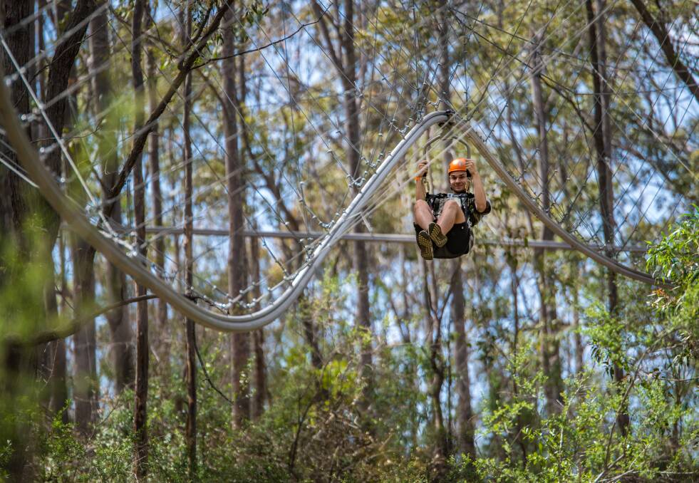 Family adventure: Skyduve the Beach operator Experience Co is in the process of acquiring Trees Adventure which operates in 14 locations around Australia including Taronga Zoo and Nowra. Picture: Supplied.