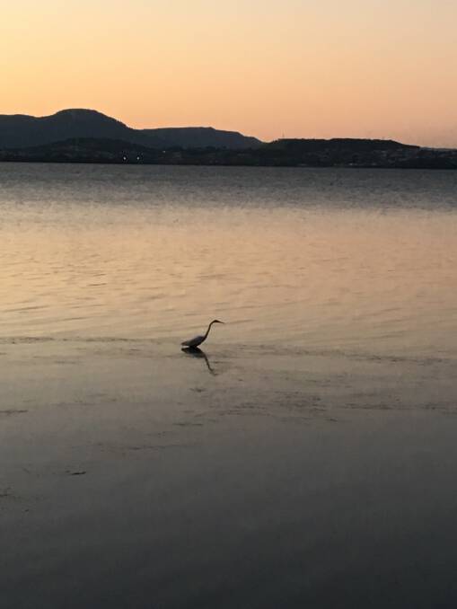 TRANQUIL: Lake Illawarra by Rylee Cole. Send us your photos to letters@illawarramercury.com.au.