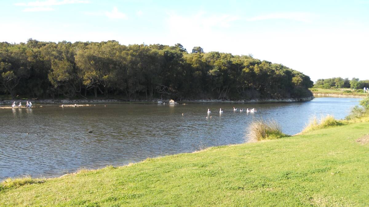 WATERWAY: Pelicans on Bellambi Lagoon by Edward Noble. Send us your photos to letters@illawarramercury.com.au or post to our Facebook page.
