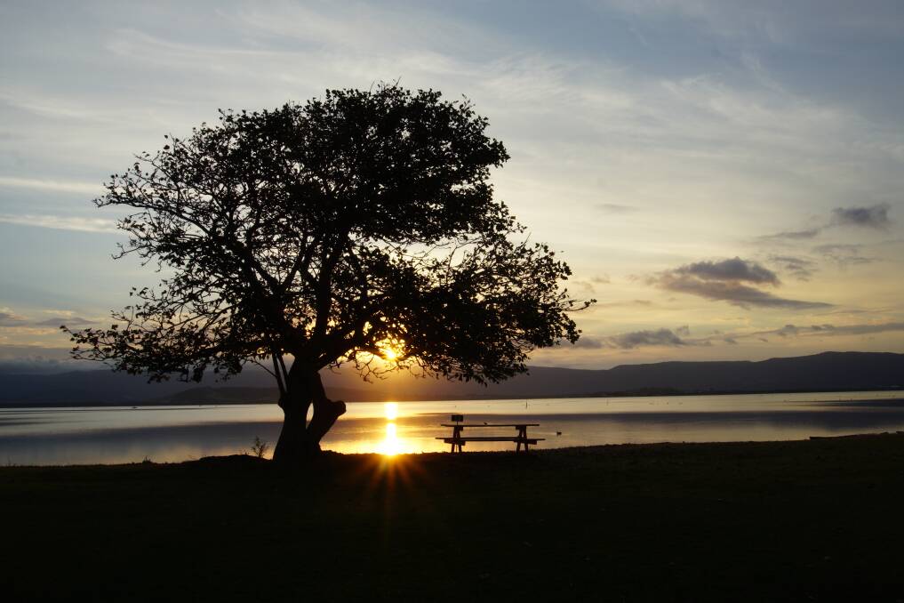 TRANQUILITY: Lake Illawarra's glow tree by Anita Pallas. Send us your photos to letters@illawarramercury.com.au or post to our Facebook page. 