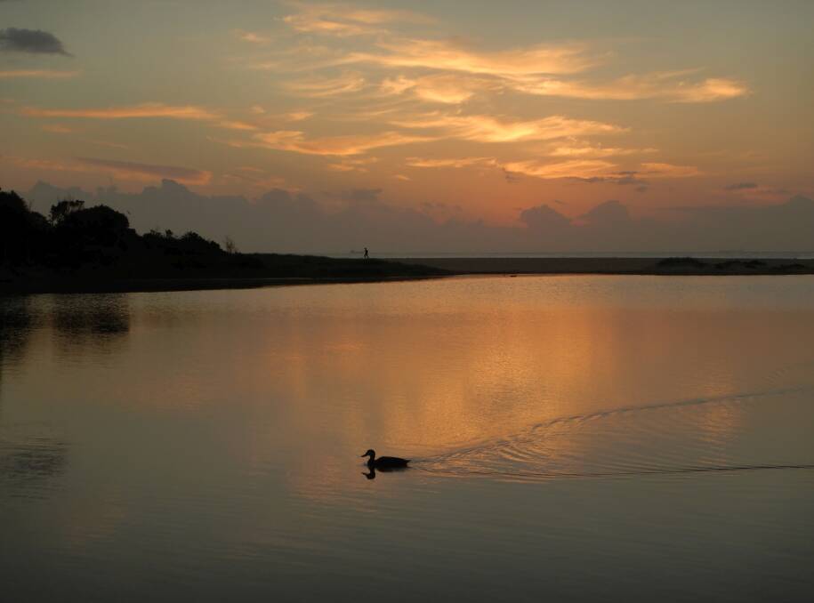 Swim before dawn, taken at Fairy Creek lagoon on February 27 by Hans Haverkamp