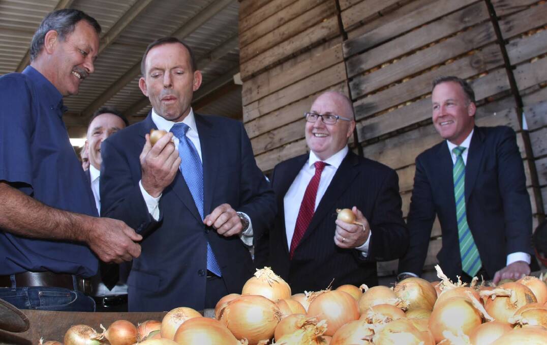 YUK: Former Prime Minister Tony Abbott (second from left) biting into a raw onion, skin and all, during a famous visit to a Tasmanian processing factory in 2015. Picture: Jason Hollister (The Advocate). 