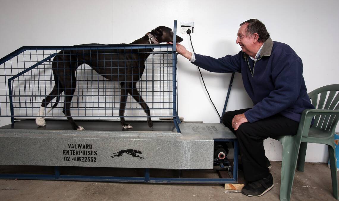 Greyhound owner Wayne Crouch, with his dog Cosmic Explosion, after the government overturned its greyhound racing ban in October. Picture: Robert Peet