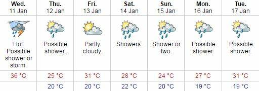 Wollongong forecast, as of 4.45am on Wednesday. Source: Bureau of Meteorology