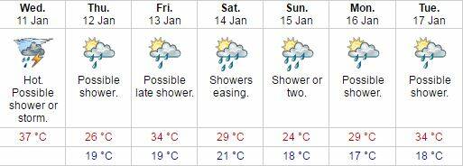 Albion Park forecast, as of 4.45am on Wednesday. Source: Bureau of Meteorology