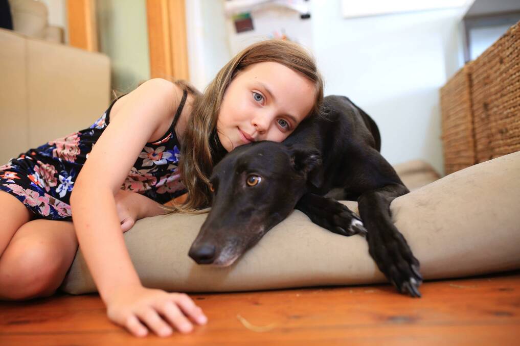 Sophie Wallis, 11, with her family's greyhound, Ziggy. Sophie's mum, Susan, said Ziggy was her best friend and a companion animal. Picture: Didi Joy