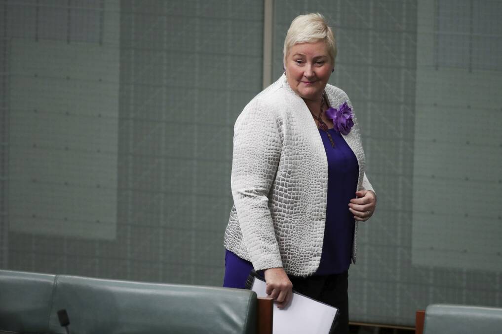 Liberal MP Ann Sudmalis in the House of Representatives on May 31. Picture: Alex Ellinghausen