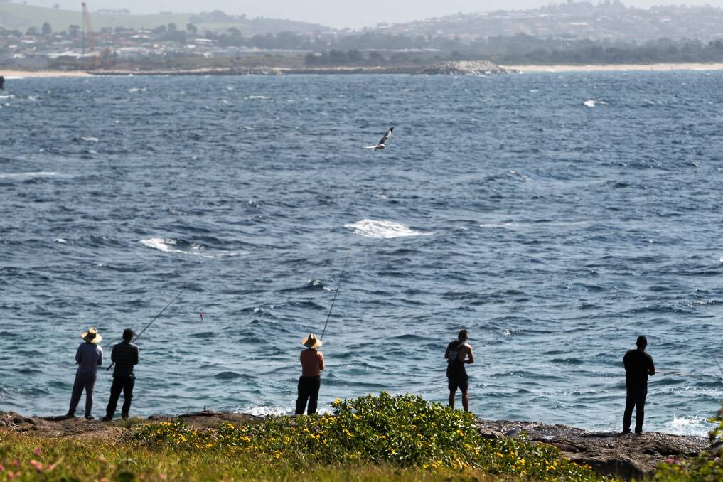 Surf Life Saving Australia data reveals there were 19 rock fisher drownings in the Illawarra and South Coast from 2004 to 2017.