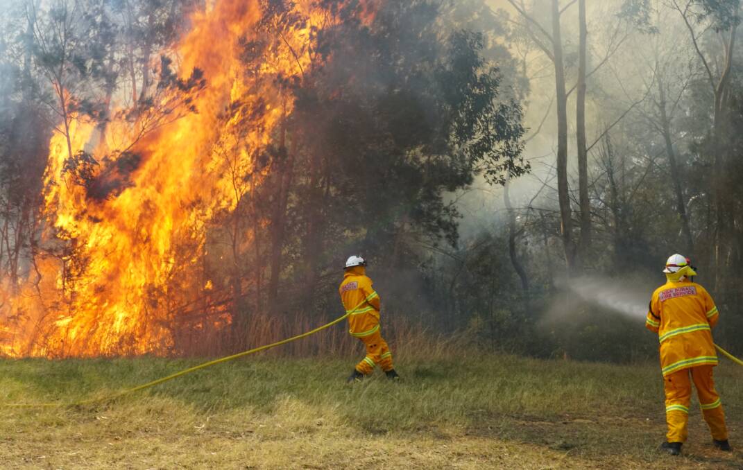 The bushfire at West Nowra on Monday. Picture: Nick Moir