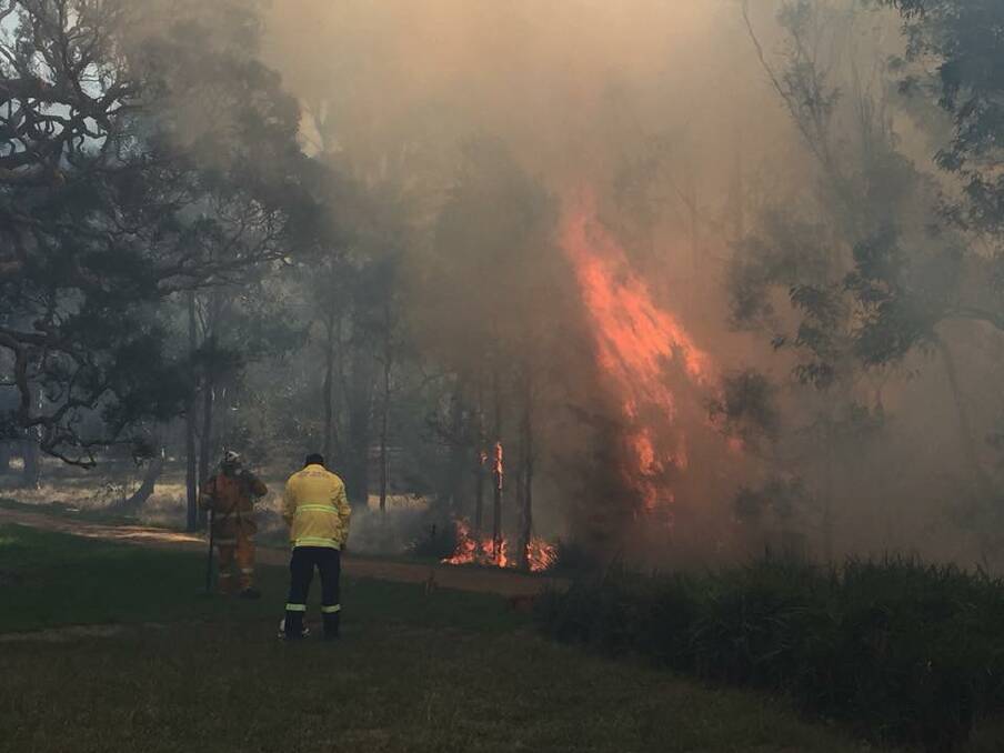 A picture from an Illawarra hazard reduction burn on Saturday. "This shows just how dry it is," the NSW RFS Illawarra District says. Picture: NSW RFS Illawarra District