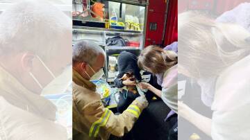 A firefighter giving Scooby the miniature dachshund oxygen therapy after the dog was trapped in a house fire in Kiama on Tuesday, May 7, 2024. Picture supplied