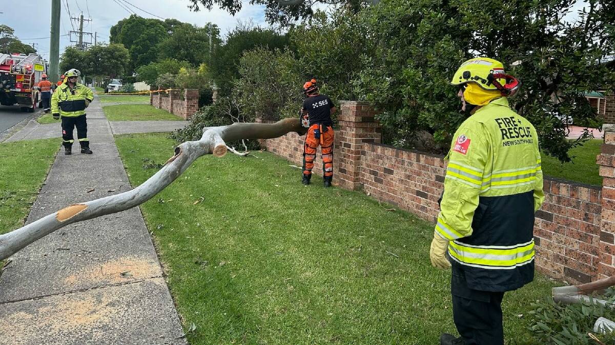 Emergency crews were called to a tree that fell and ripped down powerlines on Terry Street at Albion Park at 1pm on January 26. Picture by Shellharbour City SES