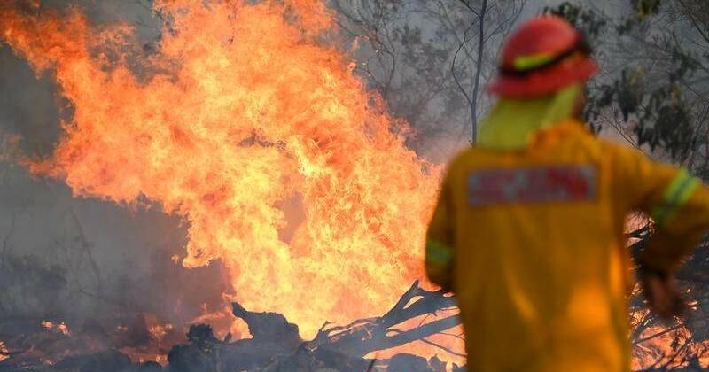 Hazard reductions will help protect Helensburgh, Bangor, NSW RFS says
