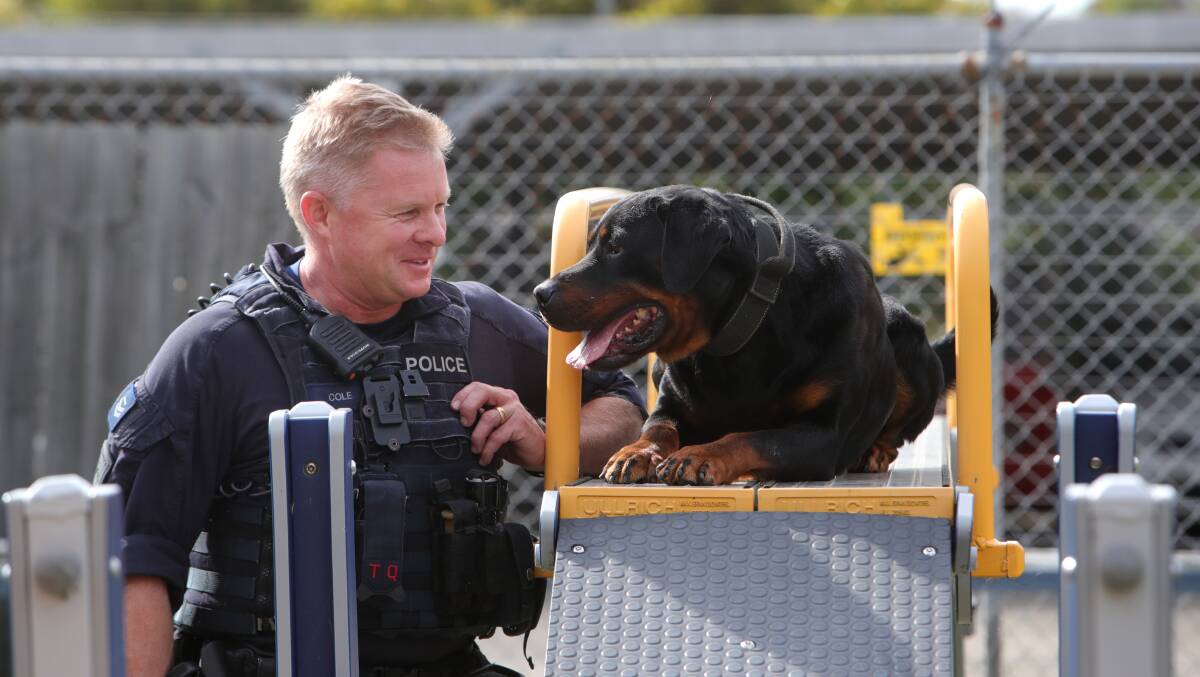 Senior Constable David Cole with his police dog Munsta in Albion Park Police Station's dog agility course. Picture by Sylvia Liber