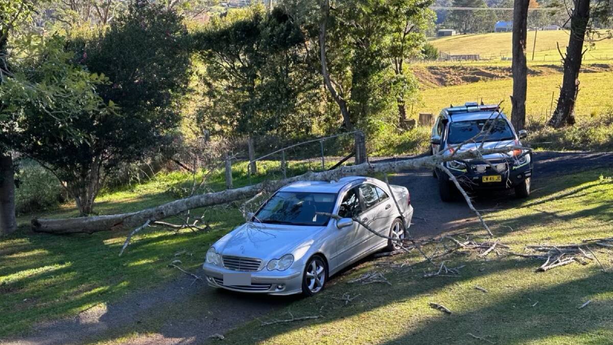 A Mercedes was smashed after a tree fell onto it at Foxground. Picture by Kiama SES