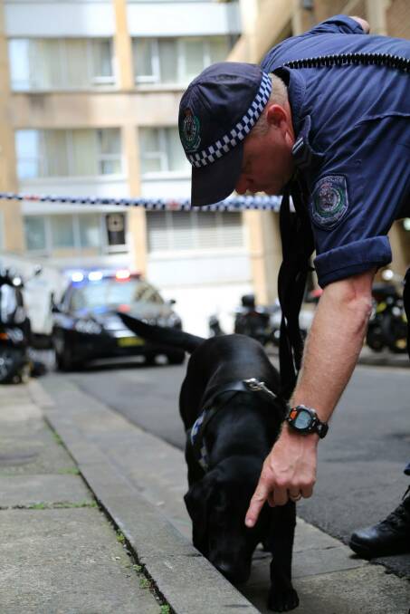 Senior Constable David Cole with Australia's first blood detection dog Sylvia in 2014. Picture by NSW Police