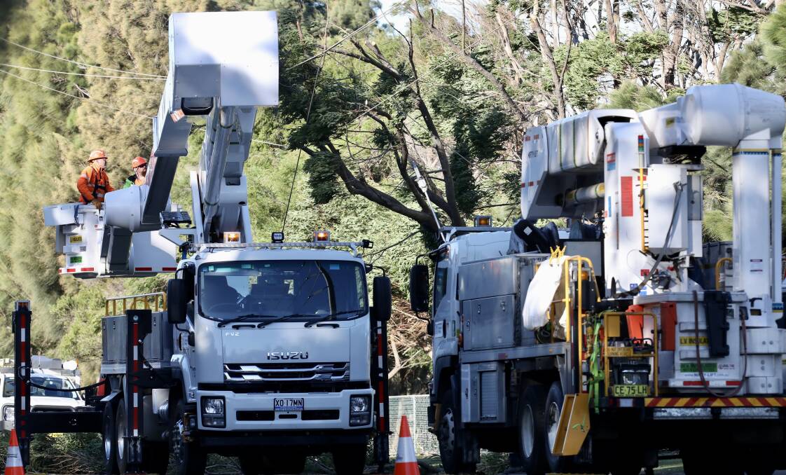 Endeavour Energy crews have been responding across the Illawarra as wild winds cause blackouts and bring trees down onto powerlines. Picture by Adam McLean