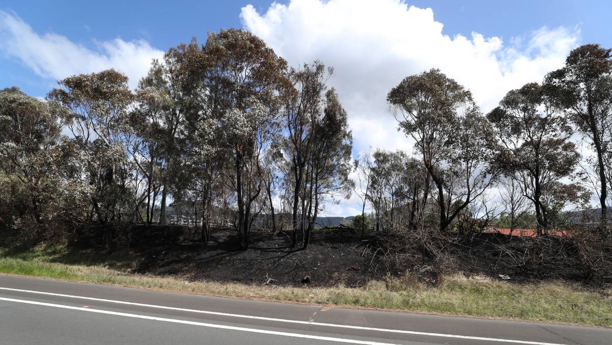 A burnt-out area alongside Memorial Drive at Fairy Meadow, following a suspicious grass fire on Thursday, September 21. Picture by Robert Peet