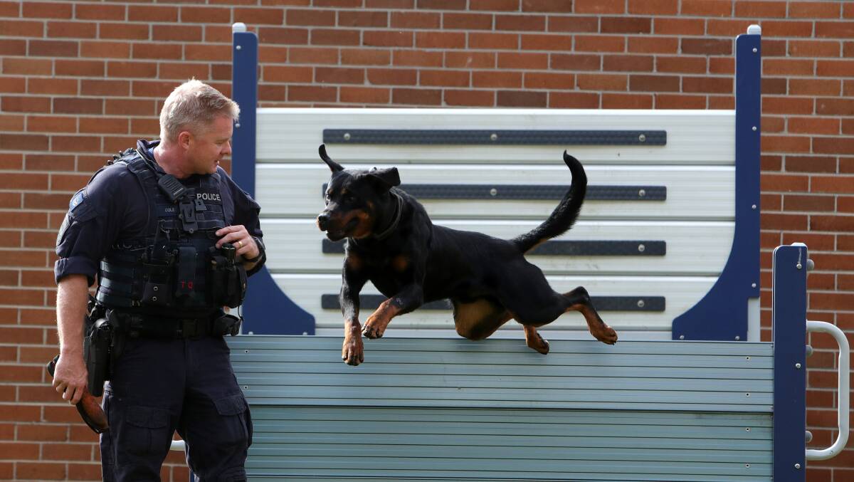 Senior Constable David Cole with his police dog Munsta. Pictures by Sylvia Liber