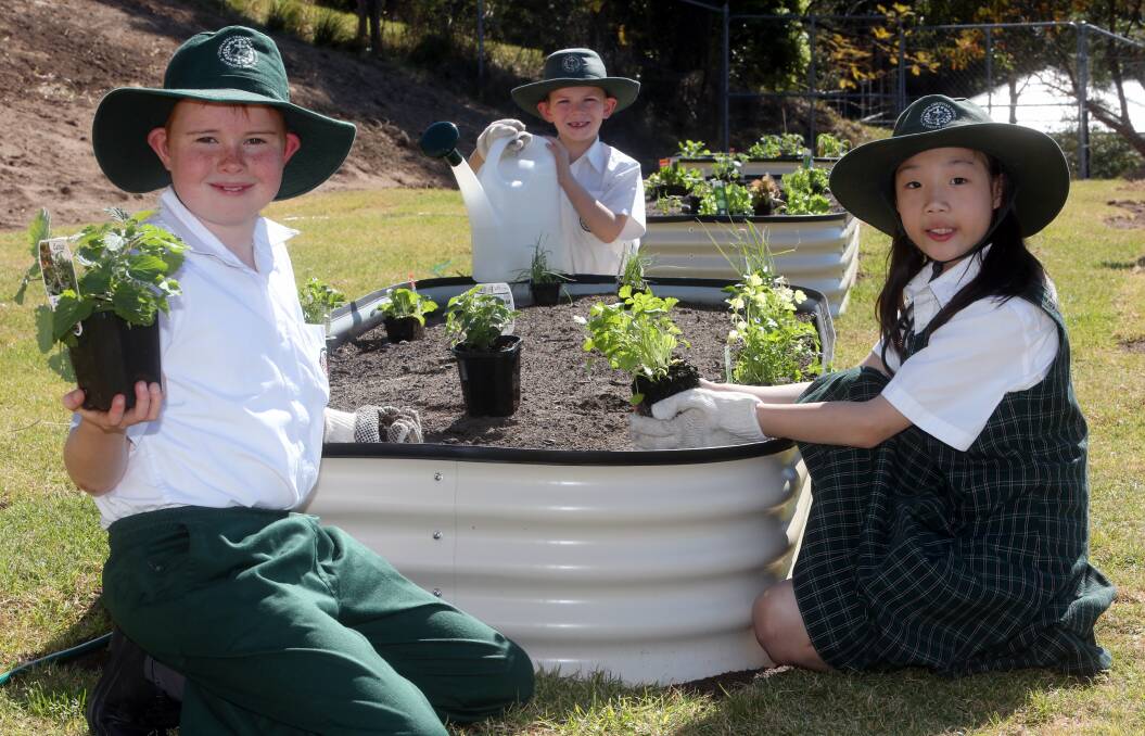 Eliachim Muteba’s former classmates Jake Charlton, Daniel Sullivan and Sue Kim plant the first vegetables in the school’s new garden to remember the Congo-born eight-year-old, who drowned off Towradgi Beach in January. Picture: ROBERT PEET