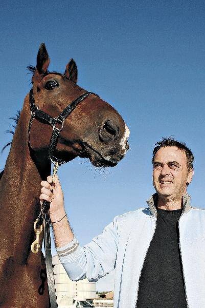 Gwenda Markwell's racing manager Len Fownes with the stable's new hope, former Hong Kong star Sikander. Picture: GREG TOTMAN