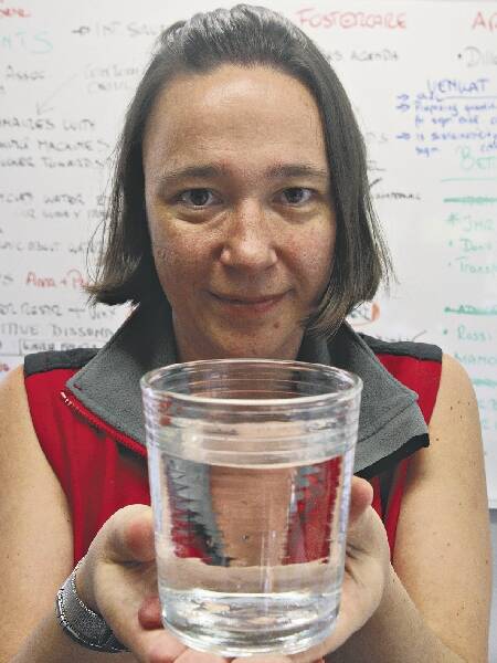 Professor Sara Dolnicar from the University of Wollongong is researching public perceptions of recycled water. Picture: ROBERT PEET