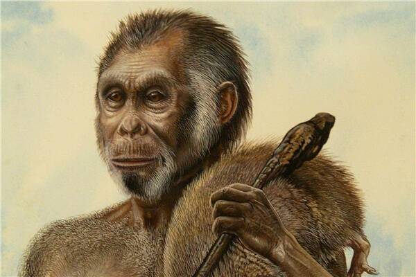 An artist's impression of Homo floresiensis.