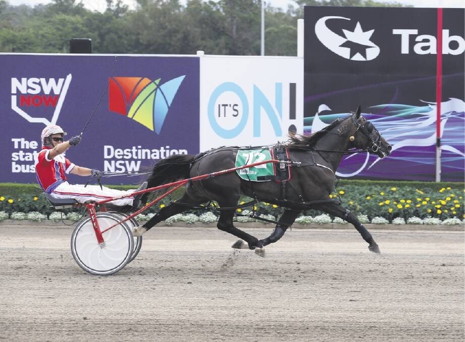 Beautide wraps up the Miracle Mile-Inter Dominion double with a decisive grand final win at Menangle yesterday. Picture: GETTY IMAGES