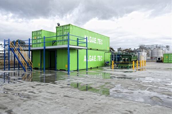 Algae.Tec's new facility opens tomorrow. Picture: ROSS PULSFORD