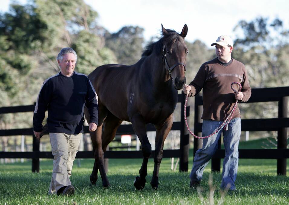 Bell View Park Stud owner Gary Mackrell and son Adam with star broodmare Russeting.