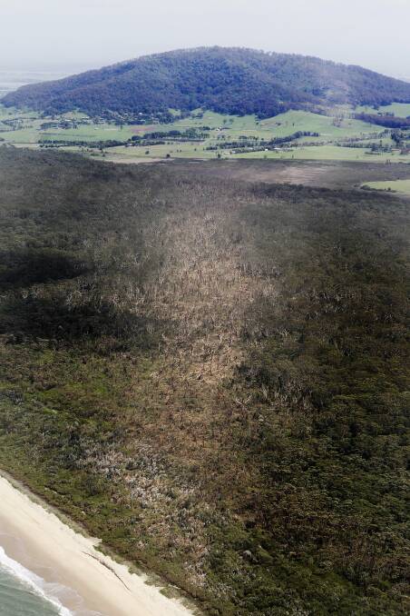 A trail of destruction cut through the dense bushland adjacent to Seven Mile Beach along Crooked River. Picture: ANDY ZAKELI