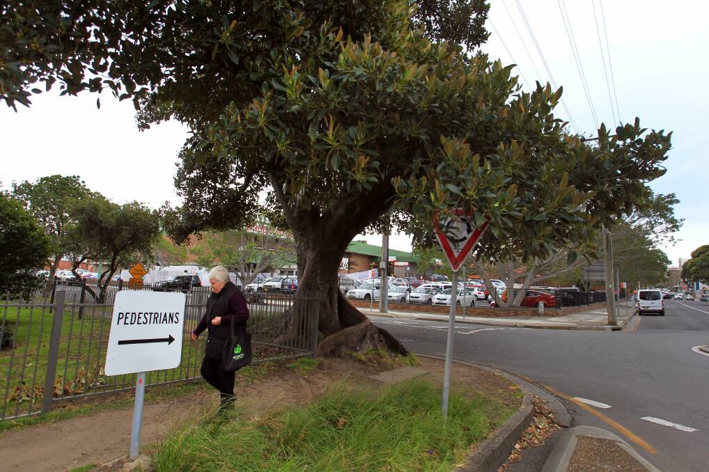 Fencing next to a fig tree in Kembla Street makes hard work for pedestrians. Picture: ORLANDO CHIODO