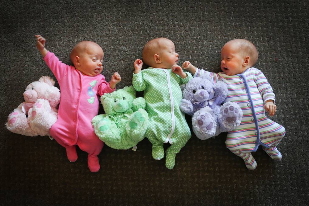 Buckley triplets Eliza (pink), Bronte (green) and Chloe (purple). Pictures: ADAM McLEAN