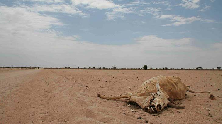 The aquifers could have an enormous effect on the notoriously dry Turkana region. Photo: Sally Braithwaite