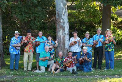 Members of the Swingaleles ukulele social group who play regularly around the Illawarra. Photo: ORLANDO CHIODO