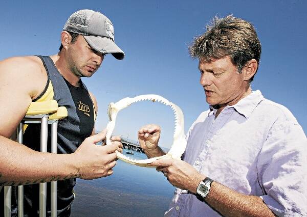 Shark attack victim Steven Fogarty with Dr Vic Peddemors, head of the shark research section of the Department of Primary Industries. They are examining the jaw of a 2m dusky whaler shark. Picture: ANDY ZAKELI