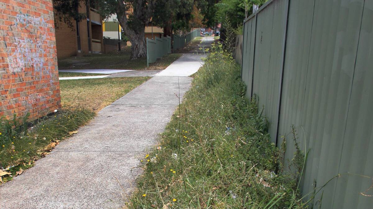 Mess: A photo of the overgrown, rubbish-filled laneway connecting King and Bent streets, Warrawong, before the Wollongong City Council agreed to mow it. Picture: ORLANDO CHIODO