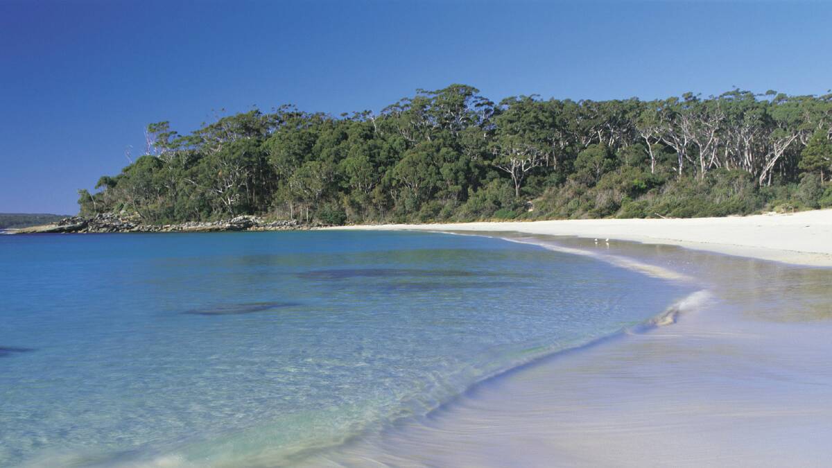 Green Patch near Jervis Bay. Picture: TOURISM NSW